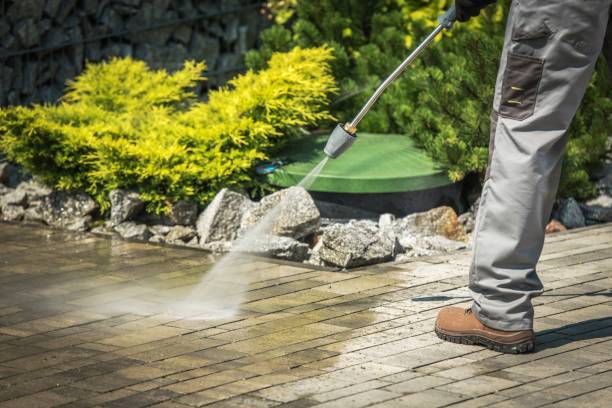 Best Soft Washing  in Mount Olive, AL